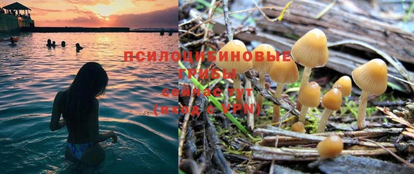 jwh Кукмор