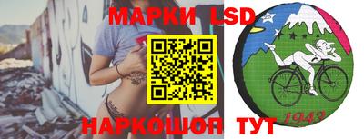 индика Гагарин