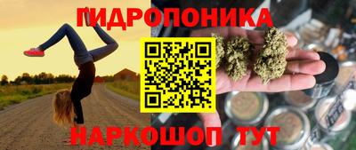 индика Гагарин