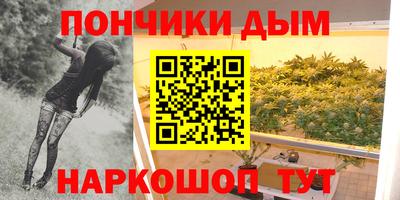 индика Гагарин