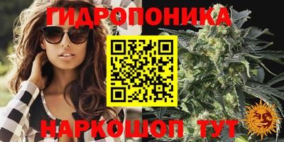индика Гагарин