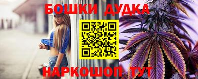 индика Гагарин