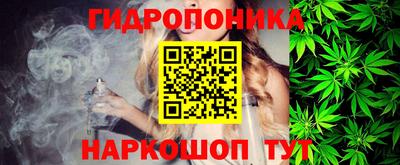 индика Гагарин