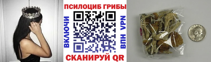 гидра ТОР  Орск  Галлюциногенные грибы прущие грибы 