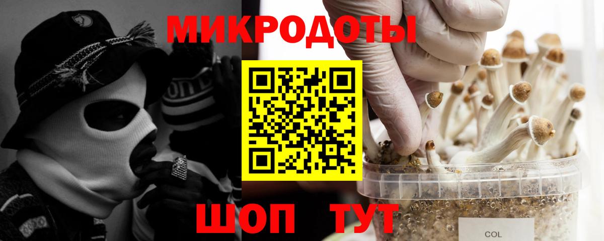 купить  цена  Псилоцибиновые грибы GOLDEN TEACHER  Вход с VPN  Орск 