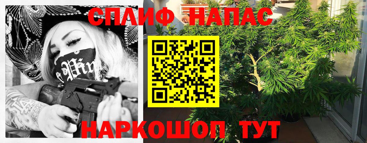 Каннабис MAZAR  Бошки марихуана конопля  Орск  МАРИХУАНА White Widow  Вход с VPN 